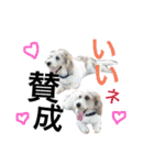 招福！大福！おめでとう♡（個別スタンプ：18）