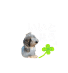 招福！大福！おめでとう♡（個別スタンプ：20）