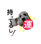 招福！大福！おめでとう♡（個別スタンプ：21）
