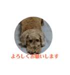 mmnhstampsssss（個別スタンプ：4）