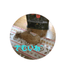 mmnhstampsssss（個別スタンプ：22）