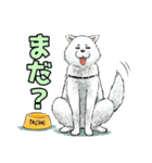 もぐささん（食い意地女子）（個別スタンプ：23）