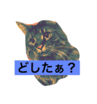 りか 2018 猫（個別スタンプ：2）