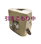 りか 2018 猫（個別スタンプ：6）