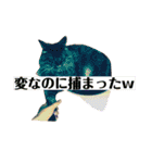 りか 2018 猫（個別スタンプ：28）