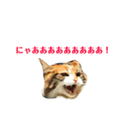 りか 2018 猫（個別スタンプ：30）