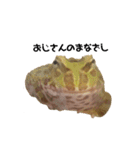 かどかどで。クランウェルツノガエル（個別スタンプ：5）