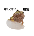 かどかどで。クランウェルツノガエル（個別スタンプ：7）