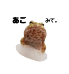 かどかどで。クランウェルツノガエル（個別スタンプ：8）