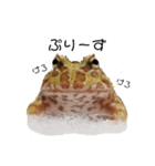かどかどで。クランウェルツノガエル（個別スタンプ：12）