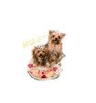 それ行け クド・ムト 1（個別スタンプ：1）