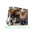 それ行け クド・ムト 1（個別スタンプ：11）