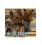 それ行け クド・ムト 1（個別スタンプ：14）