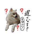 もふポメ福詠くん5（個別スタンプ：22）