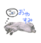 うにすたんぷぅ（個別スタンプ：2）