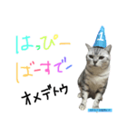うにすたんぷぅ（個別スタンプ：4）