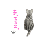 うにすたんぷぅ（個別スタンプ：5）