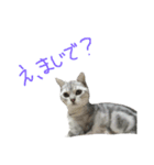 うにすたんぷぅ（個別スタンプ：7）