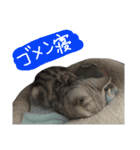 うにすたんぷぅ（個別スタンプ：8）