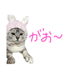 うにすたんぷぅ（個別スタンプ：16）