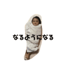 えいせいとこうき（個別スタンプ：21）