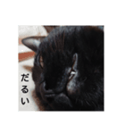 nana7stamp（個別スタンプ：3）