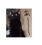 nana7stamp（個別スタンプ：5）