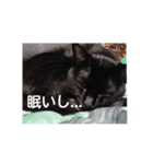 nana7stamp（個別スタンプ：7）