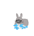 癒しうさぎもち三くん（個別スタンプ：1）