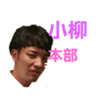小柳用スタンプ（個別スタンプ：1）