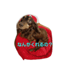 犬らぶ（個別スタンプ：1）