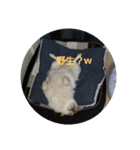 犬らぶ（個別スタンプ：11）