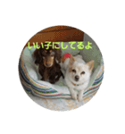 犬らぶ（個別スタンプ：28）