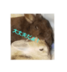うさぎのち晴れ♪
時々⭐ちんちら（個別スタンプ：8）