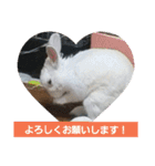うさぎのち晴れ♪
時々⭐ちんちら（個別スタンプ：16）