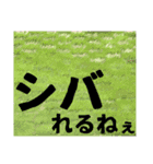 「寒い」だけを集めたスタンプ（個別スタンプ：22）