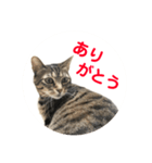 ルビーといっしよ（個別スタンプ：2）