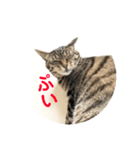 ルビーといっしよ（個別スタンプ：6）