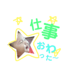 ここまるちゃんスタンプ（個別スタンプ：12）