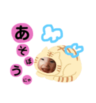 ここまるちゃんスタンプ（個別スタンプ：14）