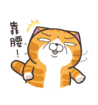 ランラン猫 13 (台湾版)（個別スタンプ：4）