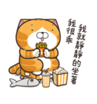 ランラン猫 13 (台湾版)（個別スタンプ：5）