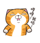 ランラン猫 13 (台湾版)（個別スタンプ：9）