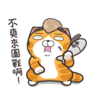 ランラン猫 13 (台湾版)（個別スタンプ：10）
