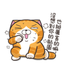 ランラン猫 13 (台湾版)（個別スタンプ：11）