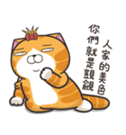 ランラン猫 13 (台湾版)（個別スタンプ：17）