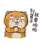 ランラン猫 13 (台湾版)（個別スタンプ：18）