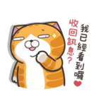ランラン猫 13 (台湾版)（個別スタンプ：19）