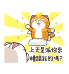 ランラン猫 13 (台湾版)（個別スタンプ：21）