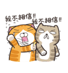ランラン猫 13 (台湾版)（個別スタンプ：27）